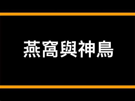 撿到燕子代表什麼|燕子是「吉祥鳥」，掉窩的燕子為何不能撿？幼崽最後會被踢出。